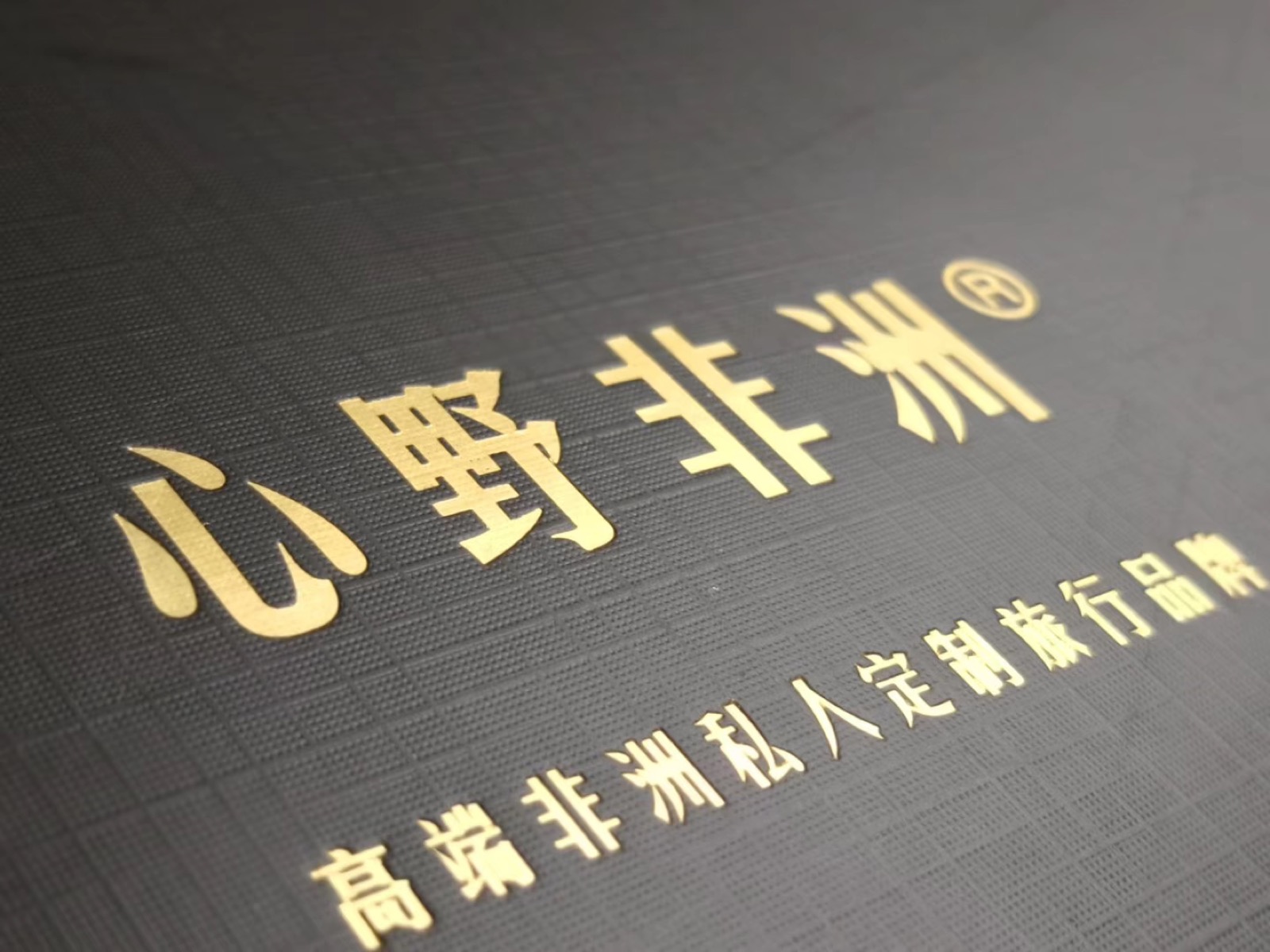 心野非洲 · 与客户在非洲的真实瞬间