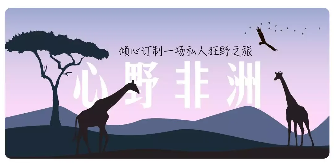 配图 1