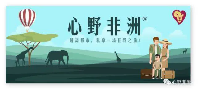 配图 1