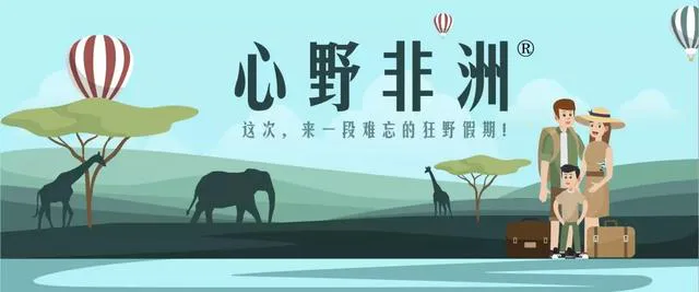 配图 1