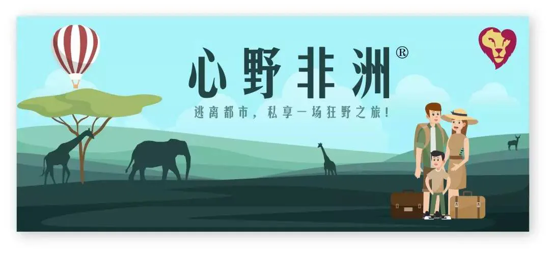 配图 1