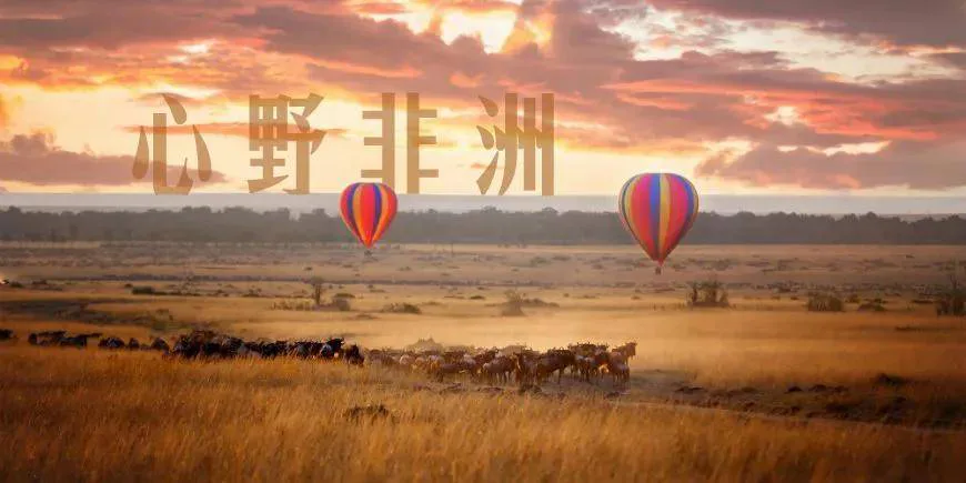 今年错过的非洲，未来相伴浪漫